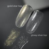 Glossy Silver Top