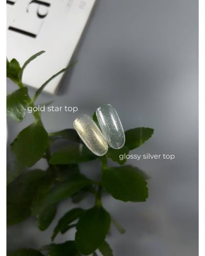 Top Gold Star, Top Glossy Silver